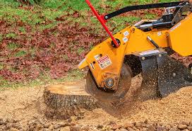 Best Lawn Watering Services  in Englishtown, NJ