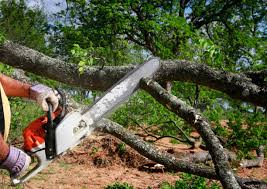 Best Lawn Mowing  in Englishtown, NJ