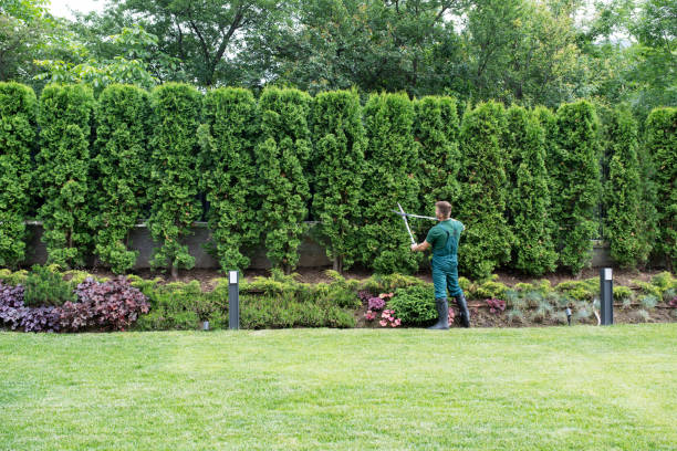 Best Tree Mulching  in Englishtown, NJ
